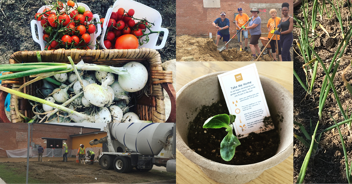 Taste community garden